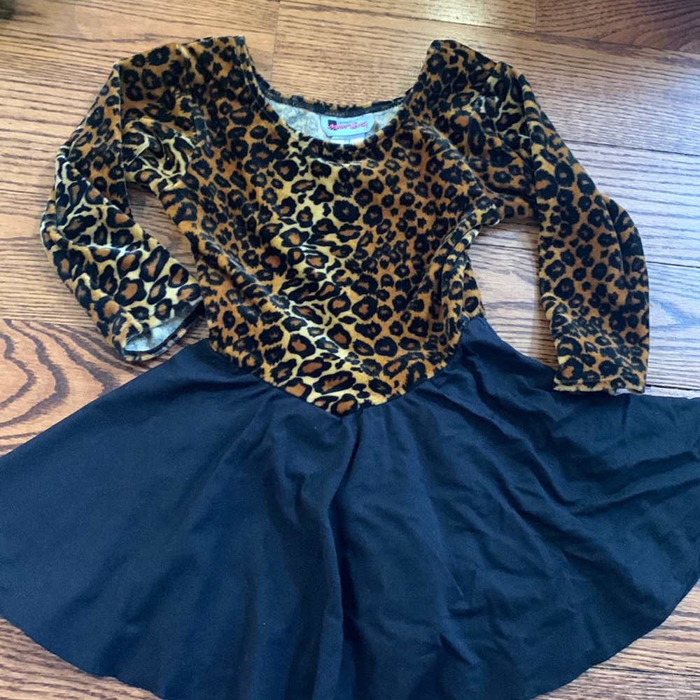 Skating Dress